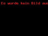 Impressionen vom Neujahrsempfang 2017_9